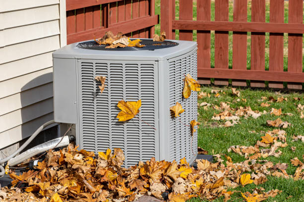Best HVAC tune-up services  in Marksville, LA